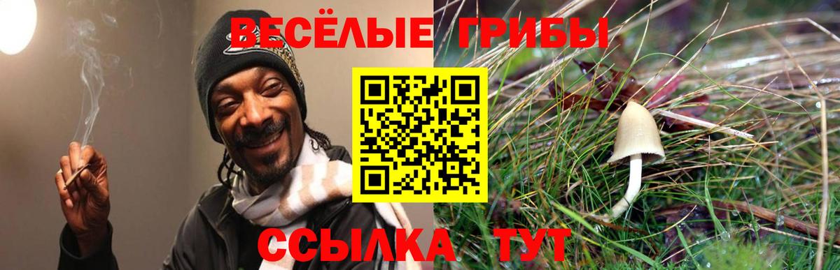 Псилоцибиновые грибы MAGIC MUSHROOMS Сланцы